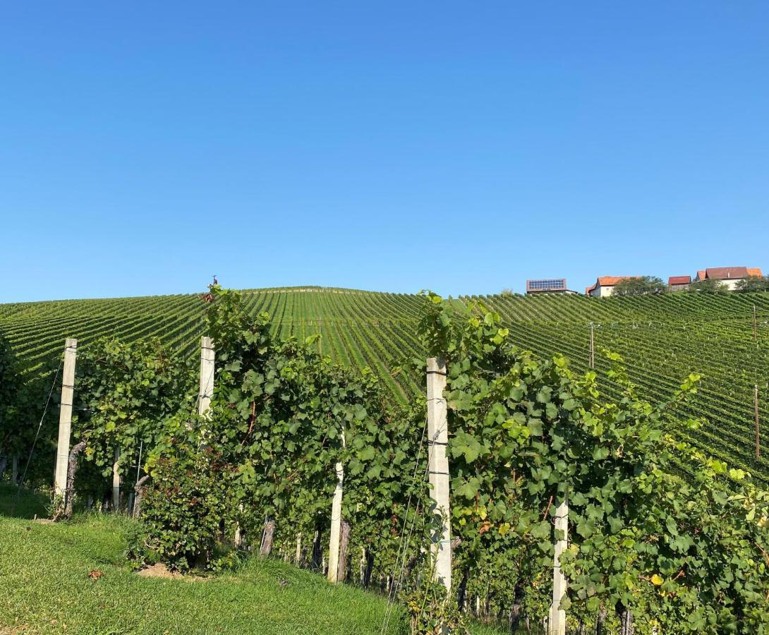 Wein Kultur Apartment Flavia Solva Wagna Exteriér fotografie