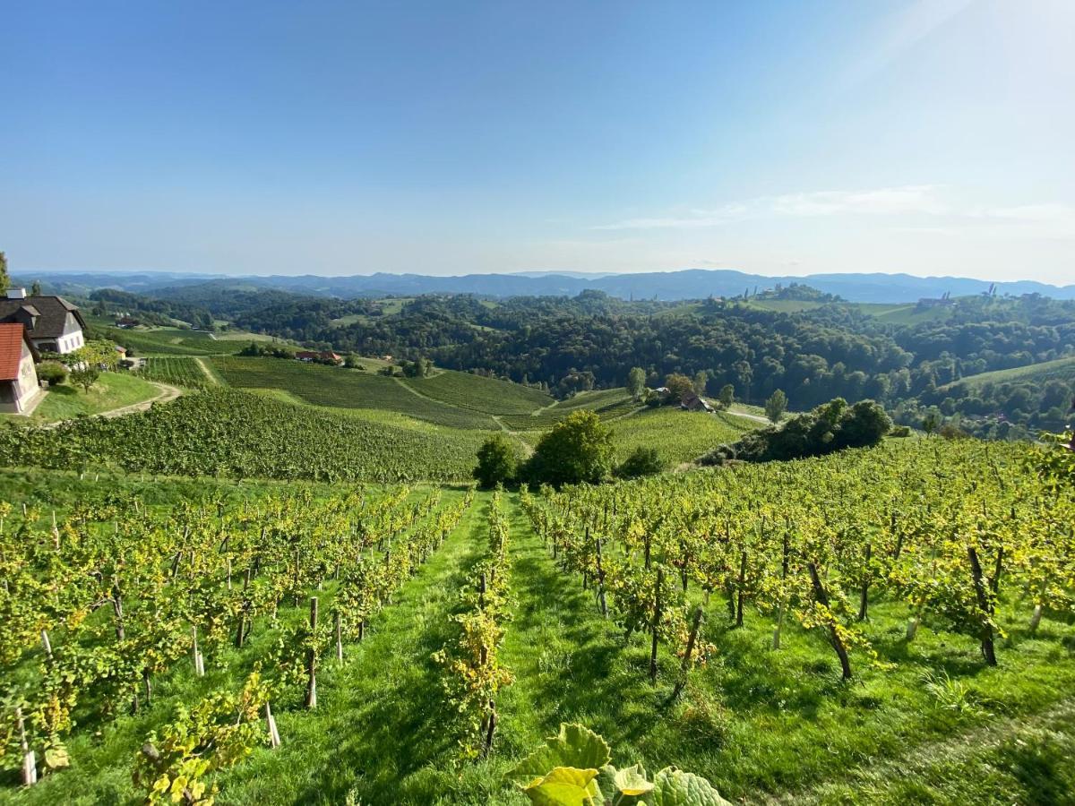 Wein Kultur Apartment Flavia Solva Wagna Exteriér fotografie
